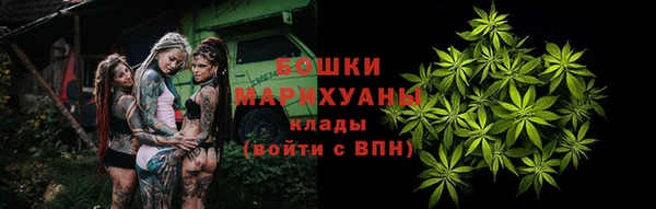 стаф Тобольск