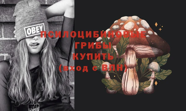 стаф Тобольск