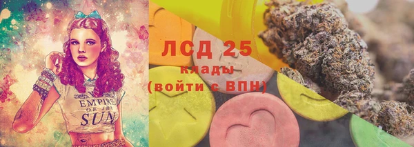 стаф Тобольск